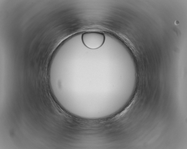 X0000111421457200907131010