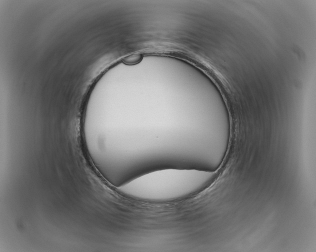 X0000111421459200907131009