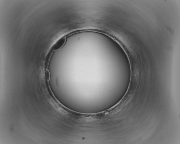 X0000111421460200907131009