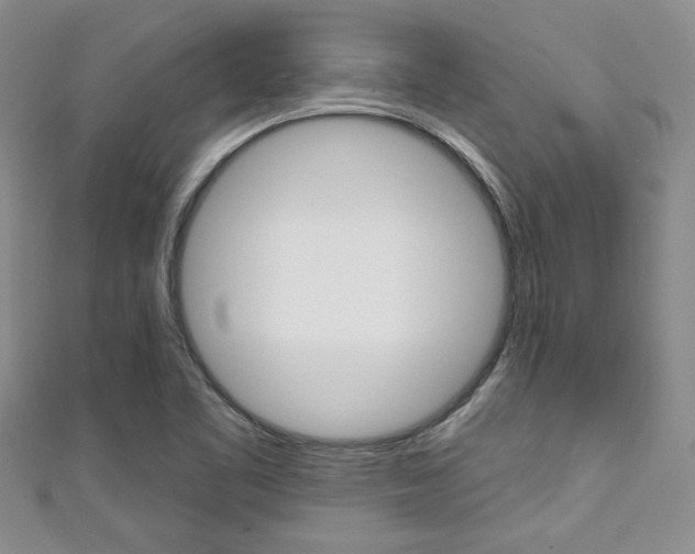 X0000111421461200907131009