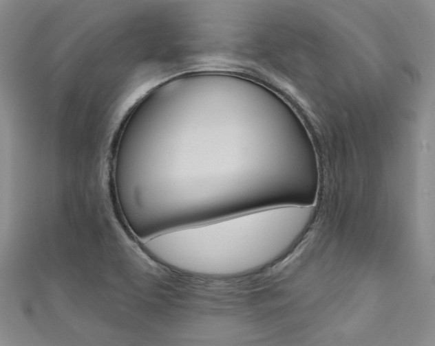 X0000111421463200907131009