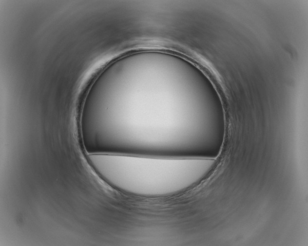 X0000111421464200907131009