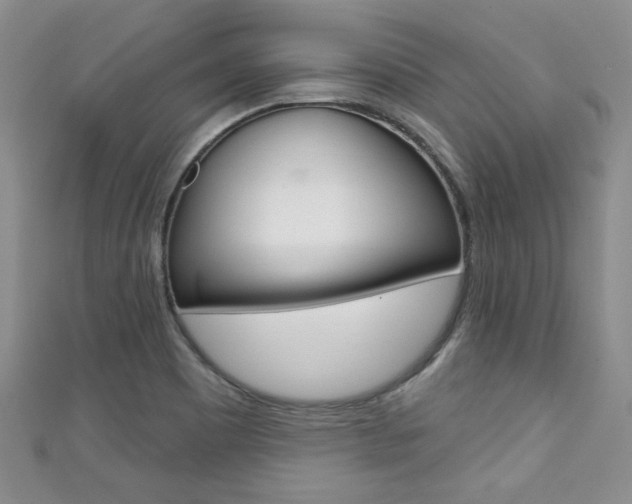 X0000111421465200907131009