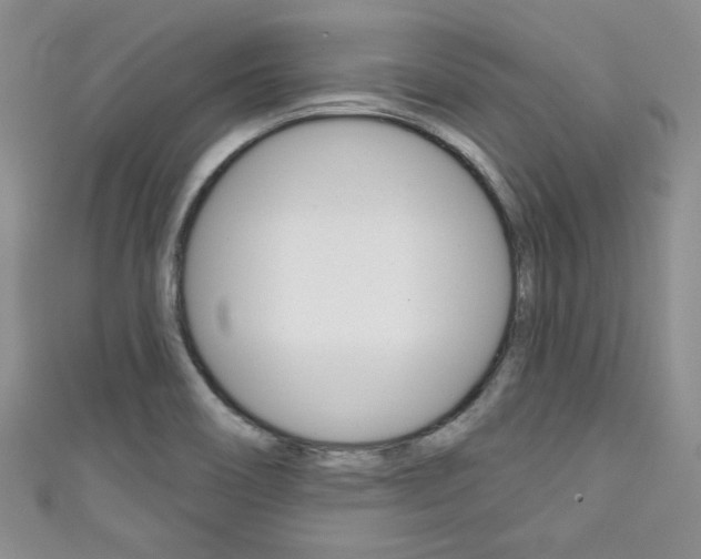 X0000111421466200907131009