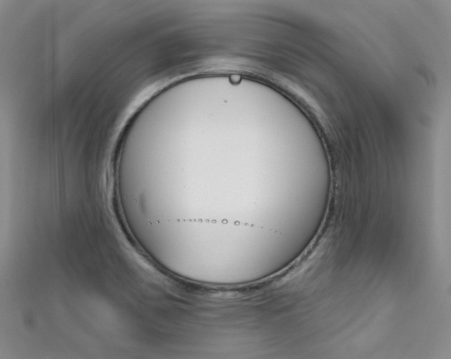 X0000111421467200907131009