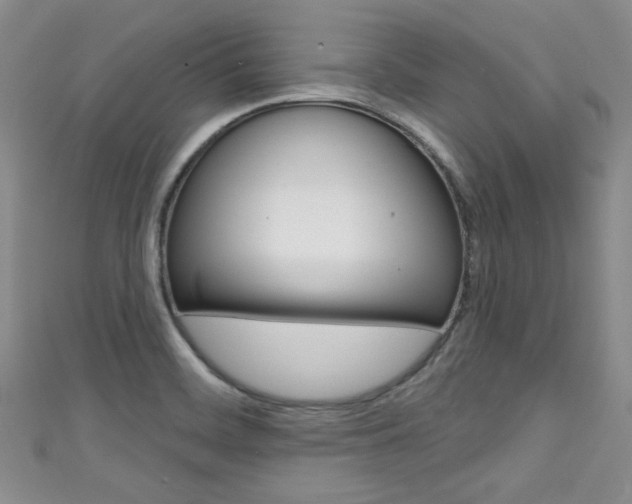 X0000111421468200907131009