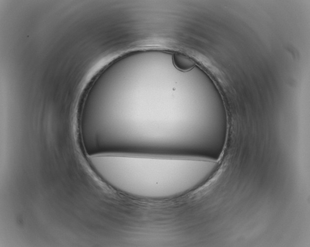 X0000111421469200907131009