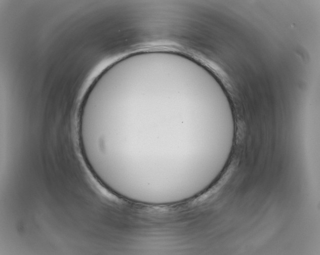 X0000111421470200907131009
