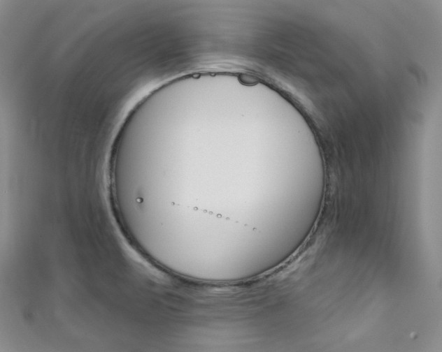 X0000111421471200907131009