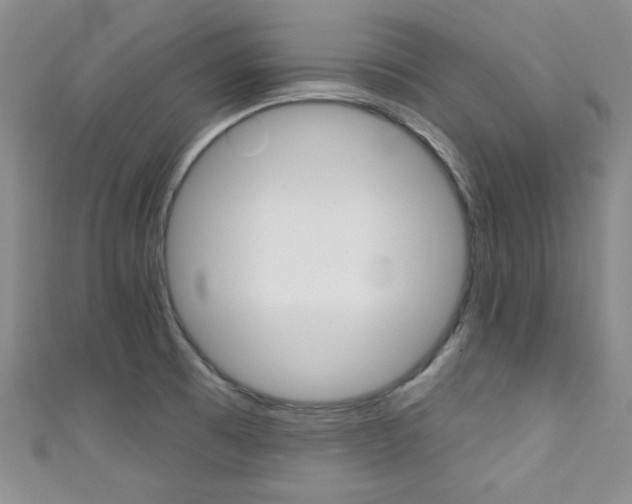 X0000111421473200907131009