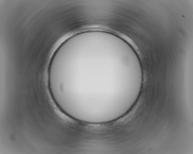 X0000111421474200907131009