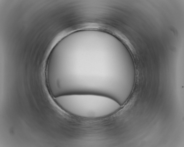 X0000111421475200907131009