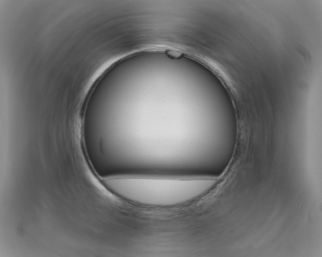 X0000111421476200907131009