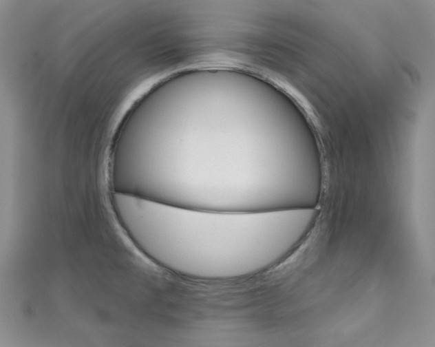 X0000111421477200907131009