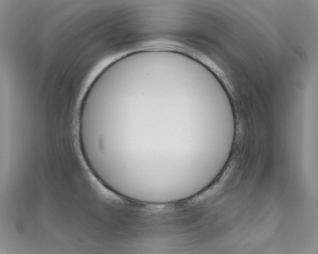 X0000111421478200907131009