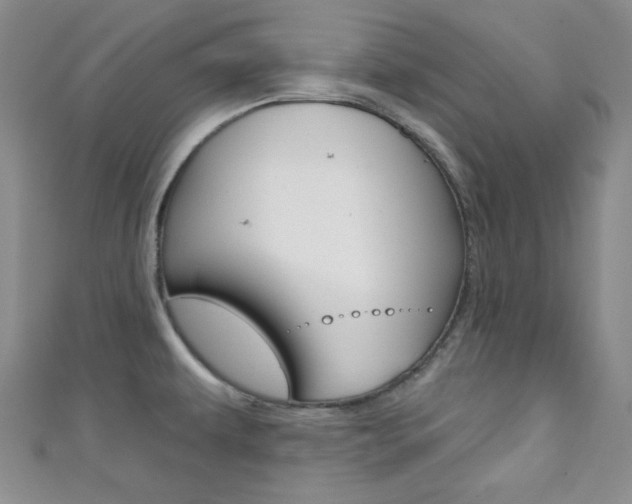 X0000111421479200907131009