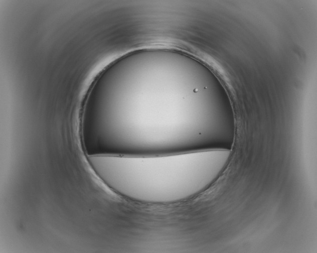 X0000111421480200907131009