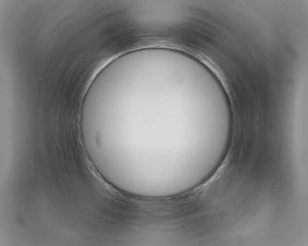 X0000111421481200907131009