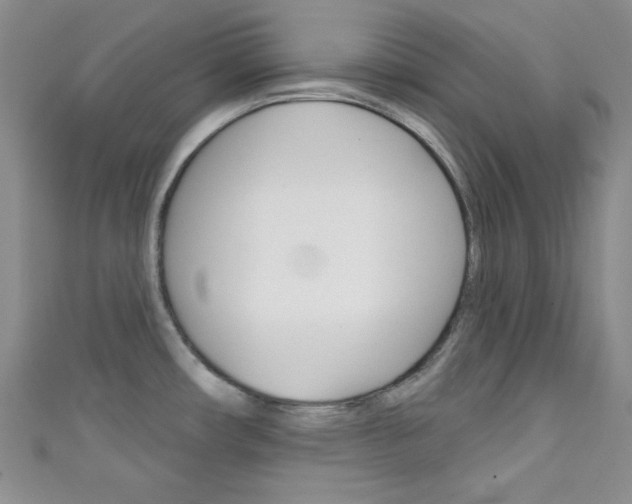X0000111421482200907131009