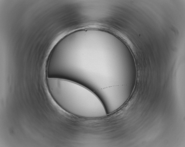 X0000111421483200907131009