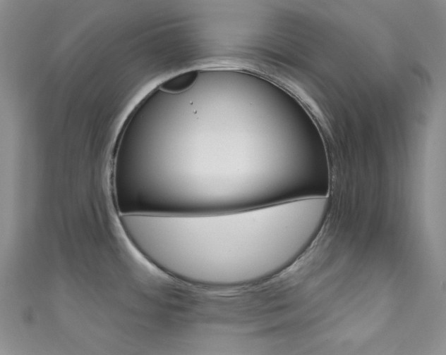 X0000111421484200907131009