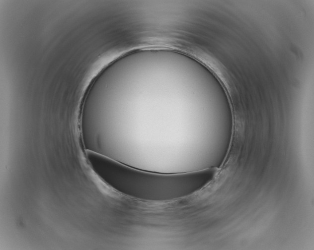 X0000111421485200907131009