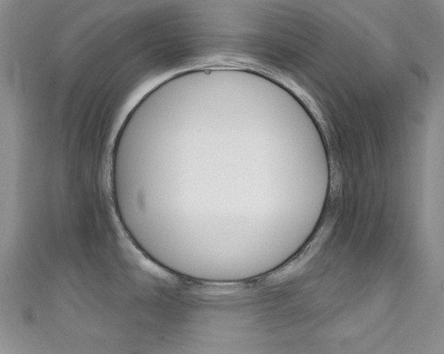 X0000111421486200907131009