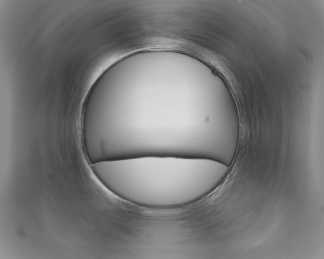 X0000111421487200907131009