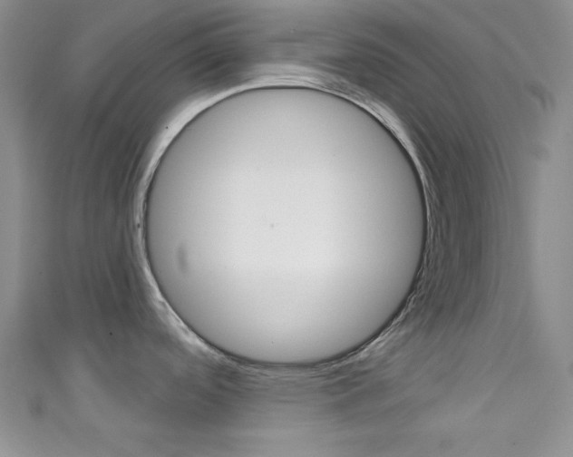 X0000111421488200907131009