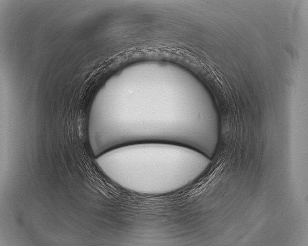 X0000111421490200907131009