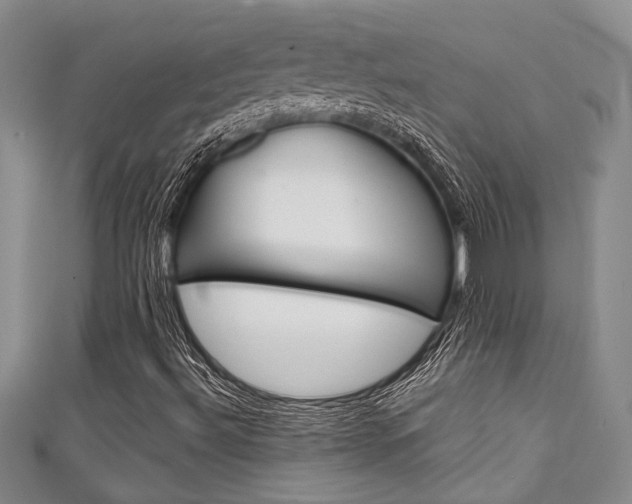 X0000111421492200907131009