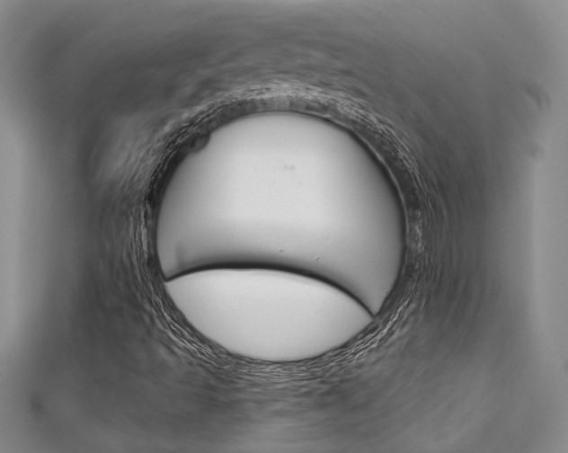 X0000111421493200907131009