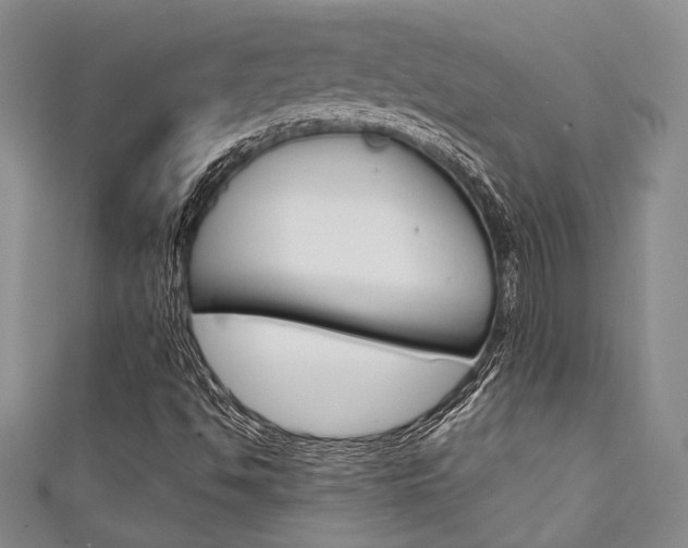 X0000111421494200907131009
