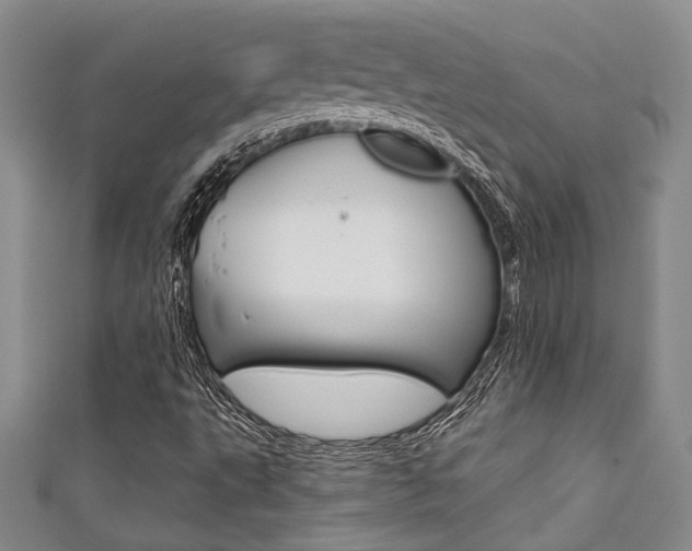 X0000111421495200907131009