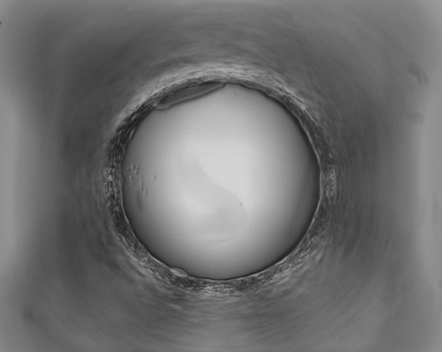 X0000111421496200907131009