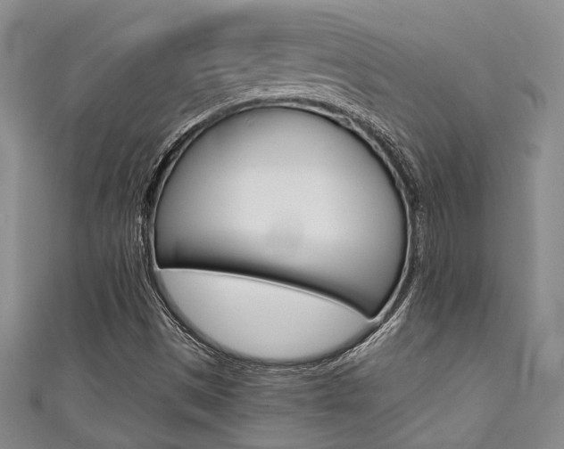X0000111421497200907131009