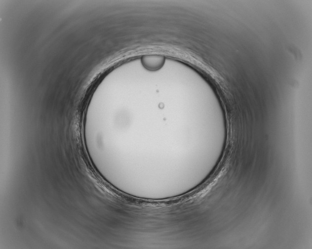 X0000111421498200907131009