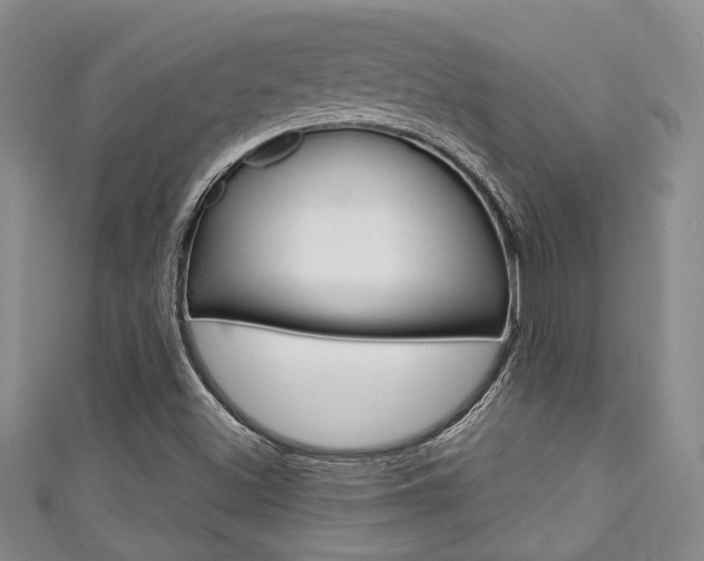 X0000111421500200907131009
