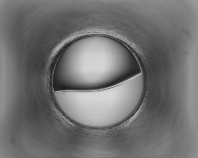 X0000111421502200907131009