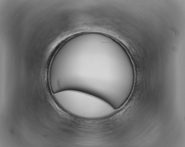 X0000111421503200907131009