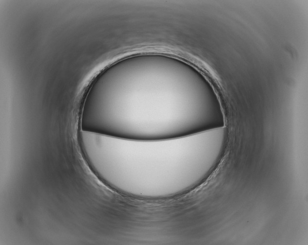 X0000111421504200907131009