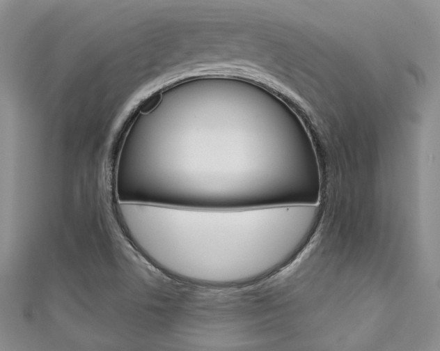 X0000111421506200907131009