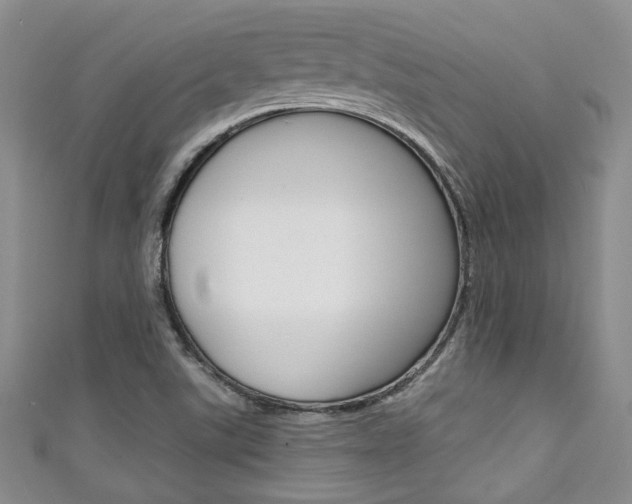 X0000111421507200907131009