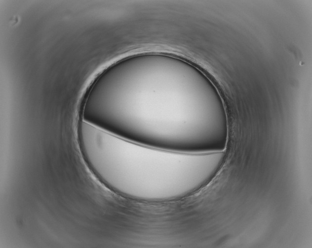 X0000111421508200907131009