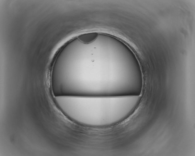 X0000111421510200907131009
