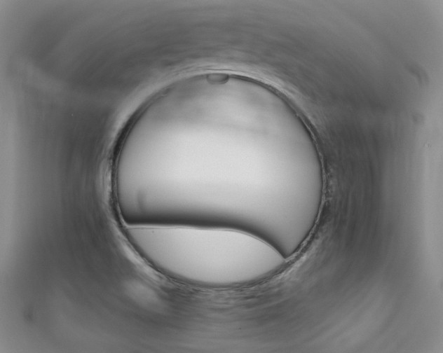 X0000111421511200907131009