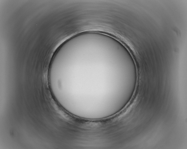 X0000111421513200907131009