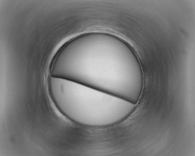 X0000111421515200907131009