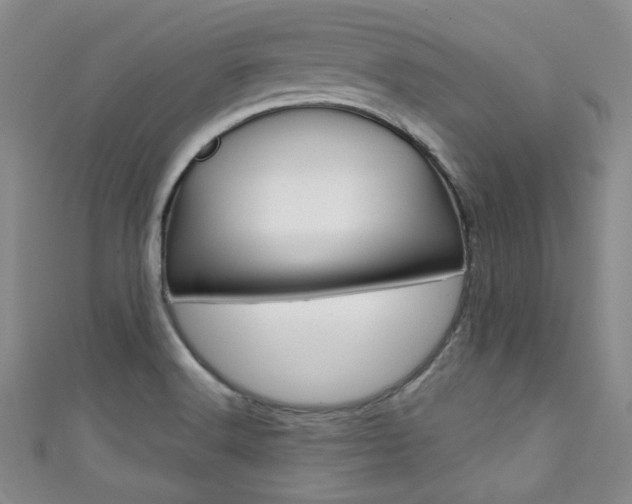 X0000111421516200907131009