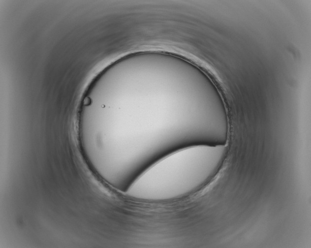 X0000111421517200907131009